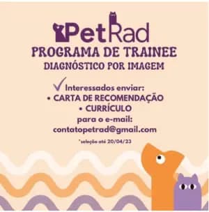 7/e8f83d1d-f4d3-4783-b980-b8df28885787.webp